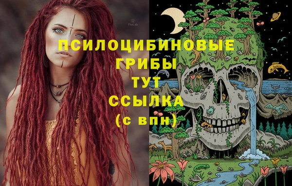 ПСИЛОЦИБИНОВЫЕ ГРИБЫ Абаза