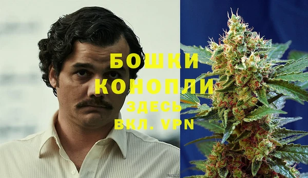 гашик Сафоново
