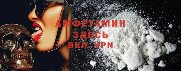 ПСИЛОЦИБИНОВЫЕ ГРИБЫ Абаза