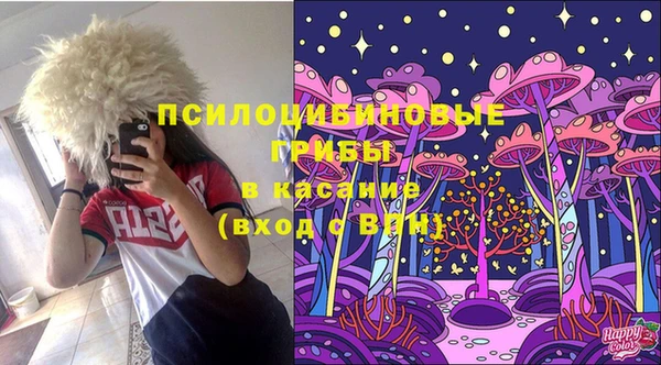 МДПВ Абдулино