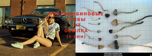 МДПВ Абдулино
