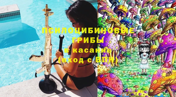 МДПВ Абдулино