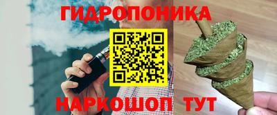 ECSTASY Абакан