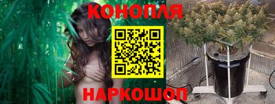 гашик Абинск