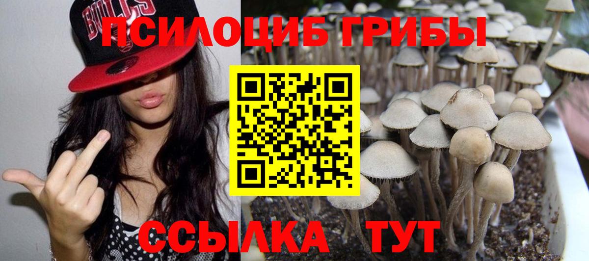 Псилоцибиновые грибы MAGIC MUSHROOMS Советский